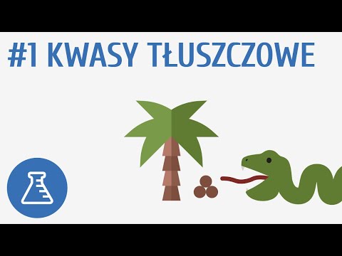 Kwasy tłuszczowe #1 [ Biologiczne związki organiczne ]