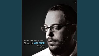 Video thumbnail of "Shauly Waldner - Ki Malachov (feat. Yitzy Waldner)"