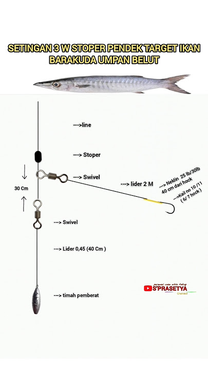 Rangkaian 3 W Stoper Pendek untuk target ikan Barakuda #fishing #mancing #tipsmancing