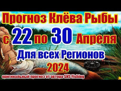Прогноз клева рыбы с 22 по 30 Апреля Прогноз клева рыбы на эту неделю Лунный календарь рыбака