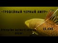 ТРОФЕЙНЫЙ ЧЁРНЫЙ АМУР на 15,400!!! ОТКРЫТИЕ ЛЕТНЕГО СЕЗОНА 2020г.