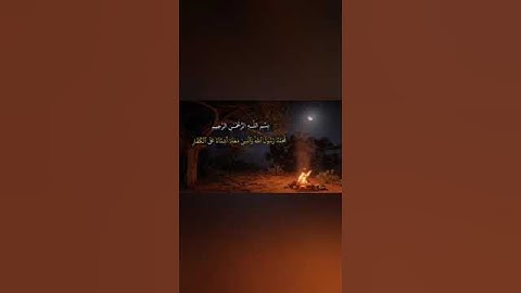 محمد رسول الله #سورة_الفتح #القرآن_المجيد #القرآن_الكريم #سبحان_الله