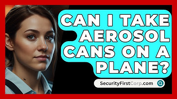 Can I Take Aerosol Cans On A Plane? - SecurityFirstCorp.com