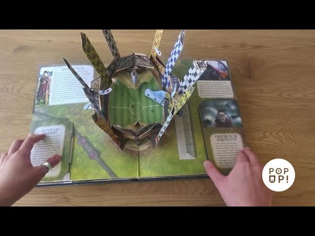 Harry Potter: A Pop-Up Book by Andrew Williamson and Lucy Kee (Hardback)