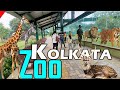 कोलकाता का चिड़िया घर 🤔/Zoological gardens alipur♥️ / kolkata West Bengal #A1allrounder #trending