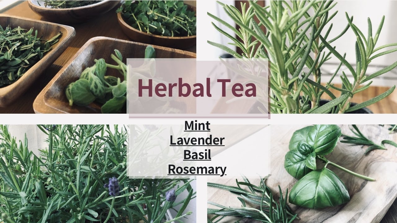 フレッシュハーブティー4種ブレンド Youtube