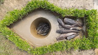 Amazing Hole Fish Trap- Smart Boy Build Fish Trap By Muddy soil