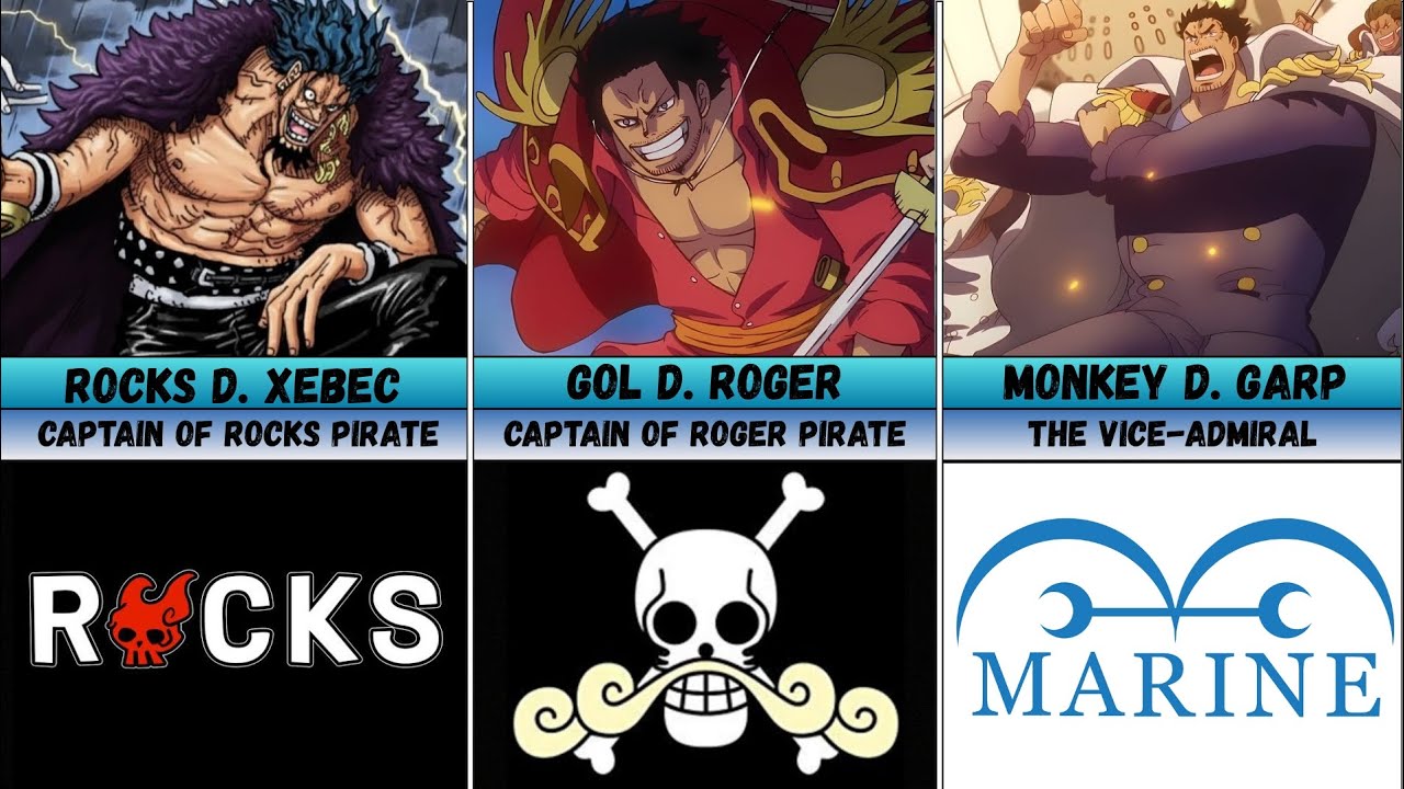 Every One Piece Characters in God Valley Incident
