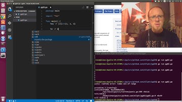 Golang Gotchas 2: Arrays and Slices