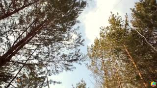 Стальной азарт   23 февраля 20131