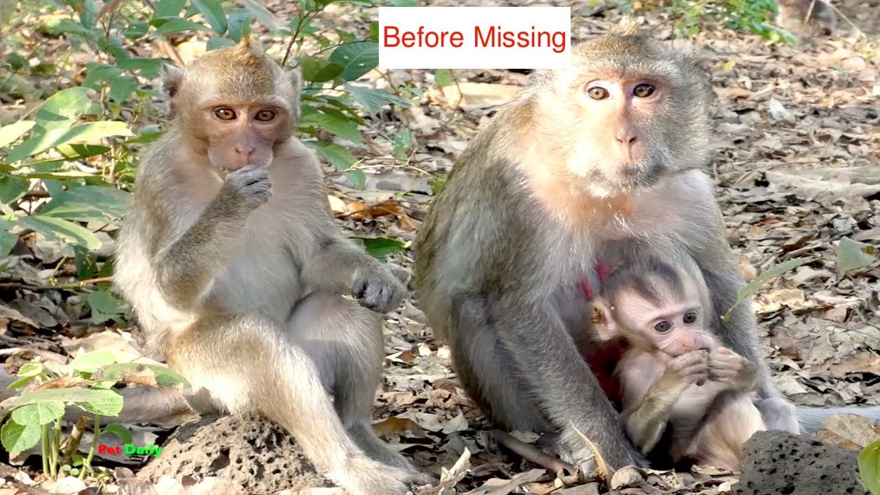 The last video before Kayoy missing - how Keyla take care her sister Kaya