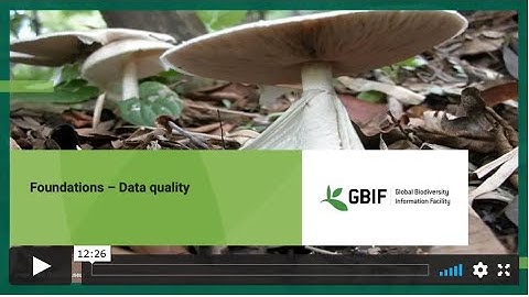 Foundations Data Quality