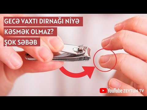 Video: Hansı heyvanın dırnaqları yoxdur?