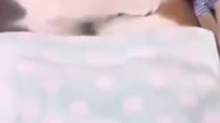 Xoşbext Sevgili Cűtlűkler