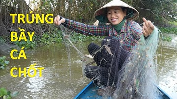 1439 / Giăng lưới cá chốt về kho tiêu