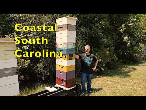 Beekeeping in Coastal South Carolina