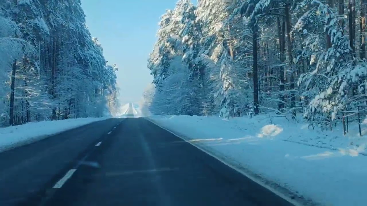 16 января 2026 года. Беларусь - 21