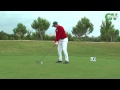 CN Sports   VIII Liberty Seguros Golf Trophy Pro Am -- Oceânico Victoria