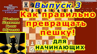 Как правильно превращать пешку ШАХМАТЫ УРОКИ ♔ ОБУЧЕНИЕ для начинающих онлайн ♕ ВИДЕО 3 Правила Как правильно превращать пешку ШАХМАТЫ УРОКИ ♔ ОБУЧЕНИЕ для начинающих онлайн ♕ ВИДЕО 3 Правила