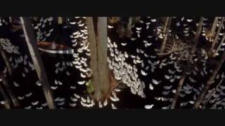 The Original Snow Patrol You Could Be Happy - The Notebook
