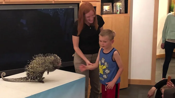 Steven's Birthday with a Porcupine