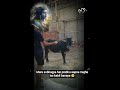 Jai shree krishna ji mujhe youtuber bana dena 🥺❤️ #shortvideo