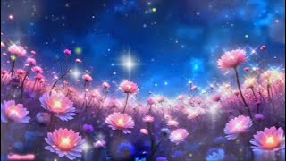 Dreamy Echo ! Stress Relief, Study, Relaxing, Sleeping, Medication, Deep Focus, Music.