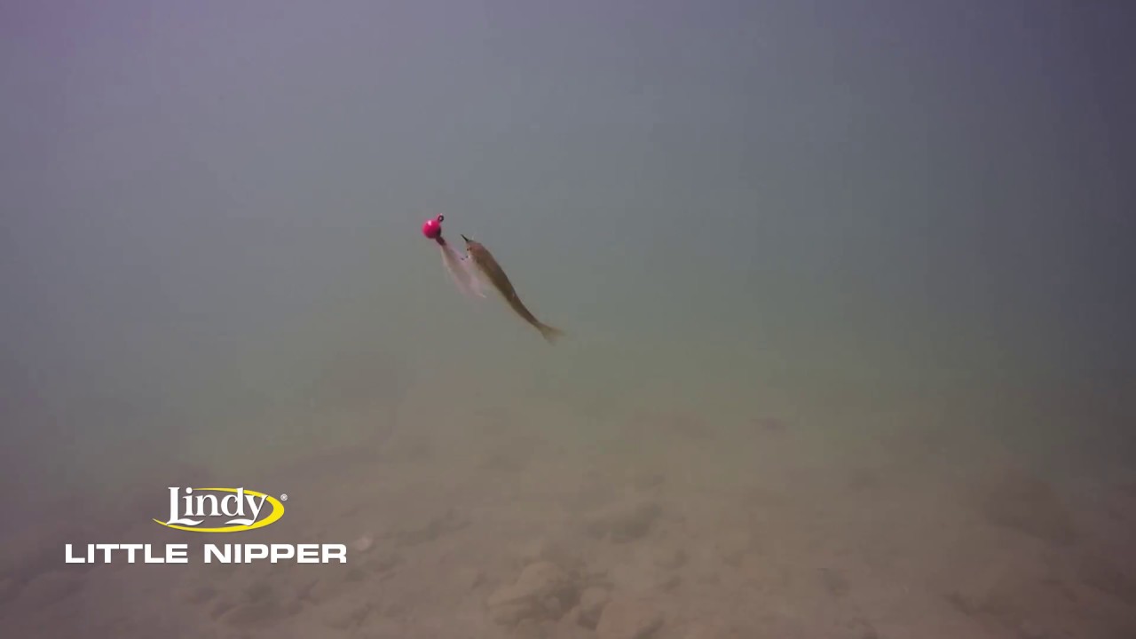 Mid Summer Crappie Structure YouTube