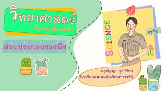 ส่วนประกอบของพืช(รากและลำต้น)ป.4