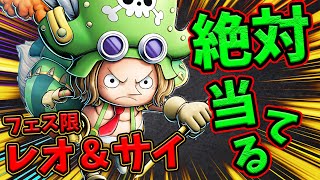 【バウンティラッシュ】新フェス限レオ＆サイ性能評価！実際強いのか検証！
