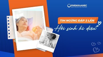 Trung Tâm Tim Mạch PhenikaaMec - Nơi Niềm Tin Gặp Gỡ Phép Màu #phenikaamec #trungtamtimmach