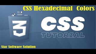 How To Use CSS HEX Colors, What is HEX Value, What is hexadecimal color
