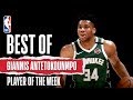 Giannis Antetokounmpo | Eastern Conference Player Of The Week
