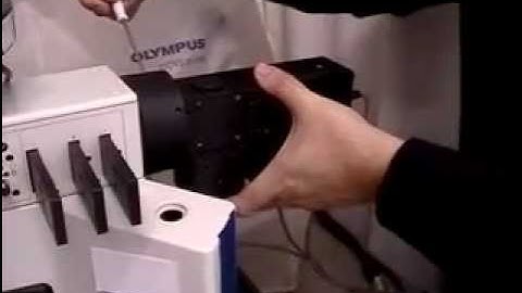 Prizmatix: Multi Wavelength LEDs for Microscopes