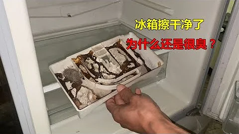 冰箱擦乾淨了還是很臭？原因就在這2個地方，簡單清理立馬沒異味 - 天天要聞