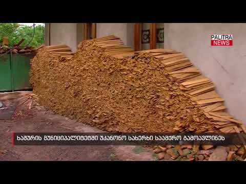 ხაშურის მუნიციპალიტეტში უკანონო სახერხი საამქრო გამოავლინეს