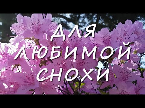 С днём рождения! Снохе от свекрови. Милой, дорогой невестке.