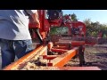 Wood-Mizer LT40 hydraulic portable sawmill cutting Larch