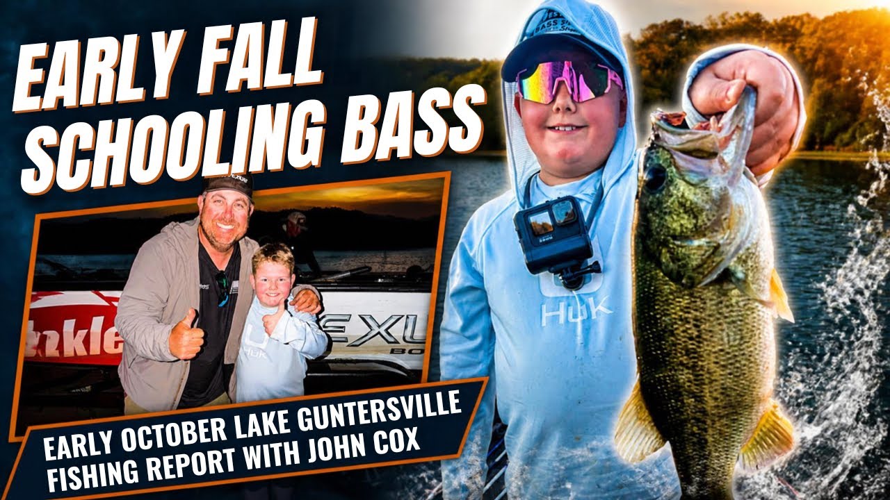 Catching Topwater Schooling Bass, Early October Fishing Report for Lake Guntersville with John Cox