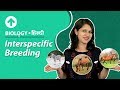 Interspecific Breeding | Hindi | Biology