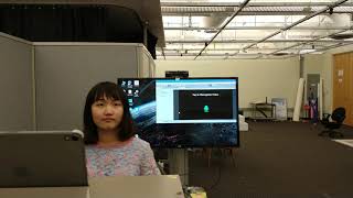 Subtle Gesture Ar User Study