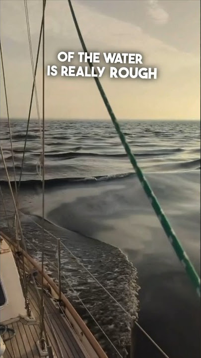 They saw something shocking in the middle of the ocean 😱