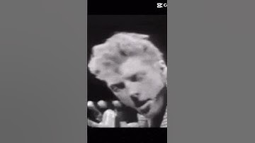 Surfin’ Bird The Trashmen 1963 🏄‍♂️🐥#surfrock #thetrashmen