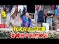 徒步探访深山古村寨,不料竟被恶犬阻拦驱赶,万幸主人家及时赶到【乡村阿泰】