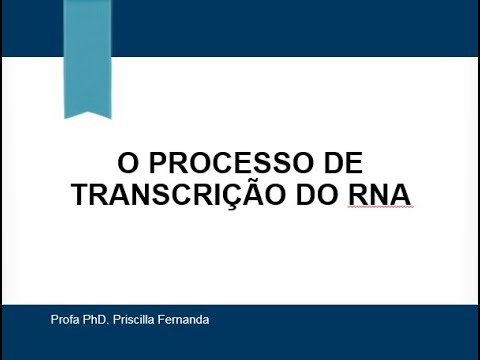 Vídeo: Em suma, o que é transcrição?