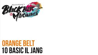10 Basic Orange Belt