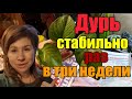 Поехала на ночь глядя// Больная//Не хватило денег на еду(//Проблемы с видео