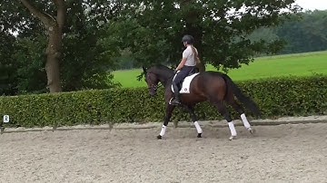 819791B2 CC34 433C 98E0 ADA79C5CE1AF HQ