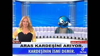 Aras veletin kardeşini bulucazzzzz DjFv CC cvnvx bb bvbvvvvc vb
