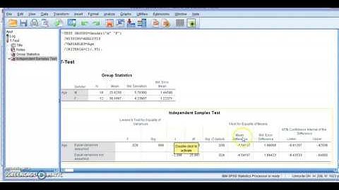 t-test for 2 Independent Samples in IBM SPSS.
